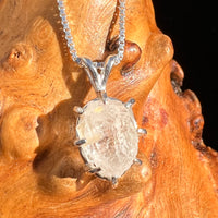 Phenakite Necklace Sterling Raw Crystal #6924-Moldavite Life