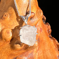 Phenakite Necklace Sterling Raw Crystal #6925-Moldavite Life