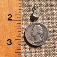 Phenakite Pendant Sterling Raw Crystal #6943-Moldavite Life