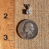 Phenakite Pendant Sterling Silver Faceted Gem #7942-Moldavite Life