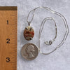 Polychrome Jasper Pendant Sterling Silver #3447-Moldavite Life
