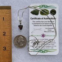 Prophecy Stone & Moldavite Necklace Silver #2645-Moldavite Life