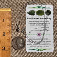 Pyrite & Moldavite Necklace Sterling Silver #8691-Moldavite Life