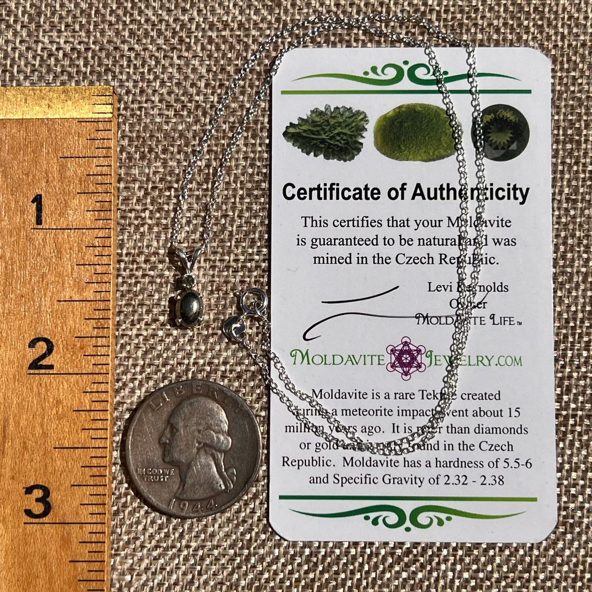 Pyrite & Moldavite Necklace Sterling Silver #8691-Moldavite Life