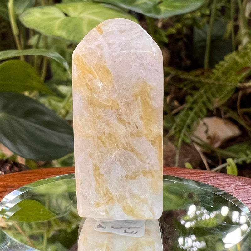 Rare Golden Euphoralite Tower #67-Moldavite Life