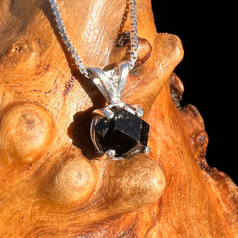 Raw Black Garnet Pendant Sterling Silver #8244-Moldavite Life