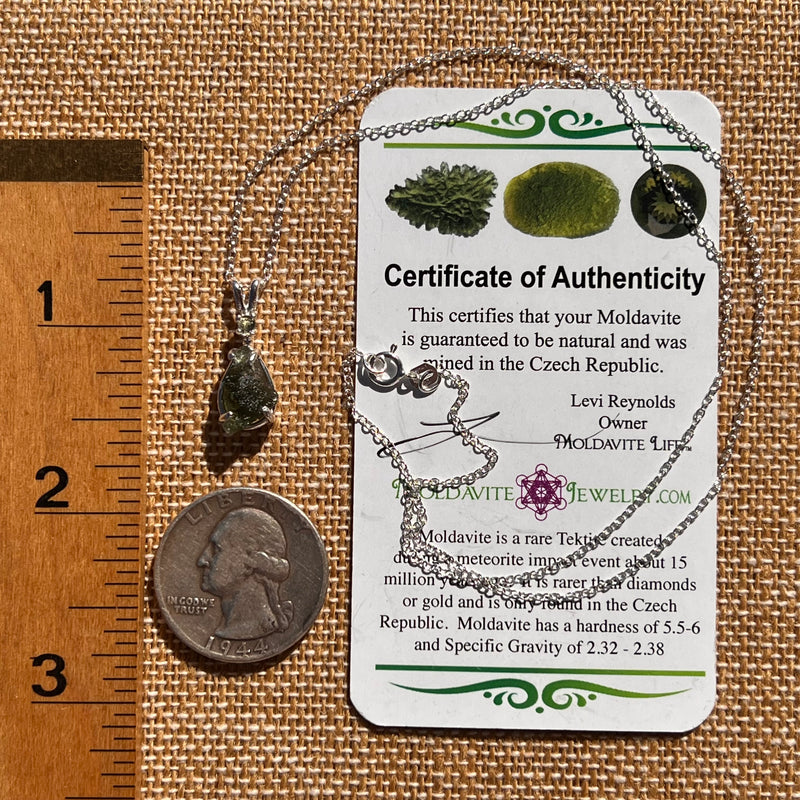 Raw & Faceted Moldavite Necklace Sterling Silver #7675-Moldavite Life
