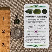 Raw & Faceted Moldavite Necklace Sterling Silver #8779-Moldavite Life