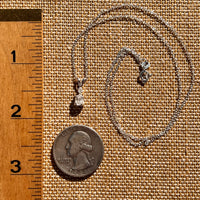 Raw & Faceted Phenakite Necklace Sterling Silver #8042-Moldavite Life