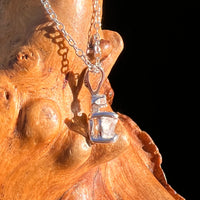 Raw & Faceted Phenakite Necklace Sterling Silver #8044-Moldavite Life