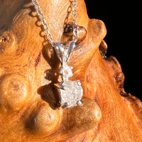 Raw & Faceted Phenakite Necklace Sterling Silver #8047-Moldavite Life