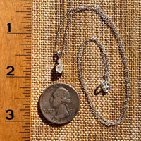 Raw & Faceted Phenakite Necklace Sterling Silver #8054-Moldavite Life