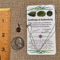 Raw Moldavite Necklace Sterling Silver #8614-Moldavite Life