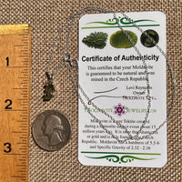 Raw Moldavite Necklace Sterling Silver #8619-Moldavite Life