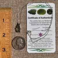 Raw Moldavite Necklace Sterling Silver #8749-Moldavite Life