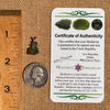 Raw Moldavite Pendant Sterling Silver #7444-Moldavite Life