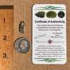 Raw Moldavite Pendant Sterling Silver #7463-Moldavite Life