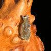 Raw Moldavite Pendant Sterling Silver #7464-Moldavite Life