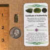 Raw Moldavite Pendant Sterling Silver #7466-Moldavite Life