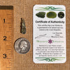 Raw Moldavite Pendant Sterling Silver #7468-Moldavite Life