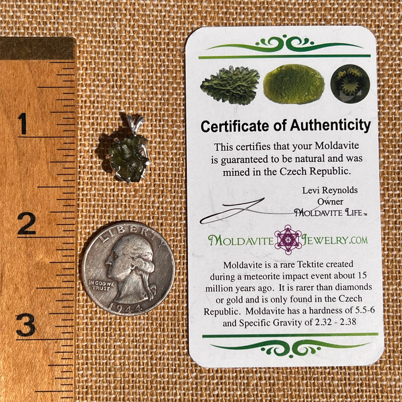 Raw Moldavite Pendant Sterling Silver #7469-Moldavite Life