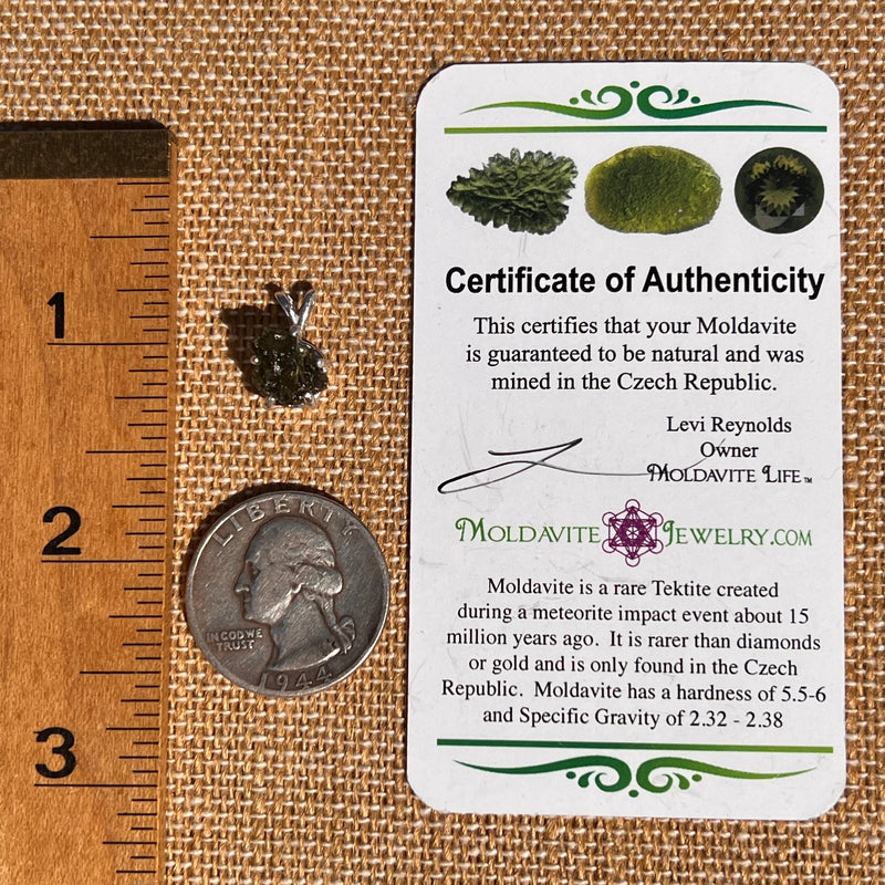 Raw Moldavite Pendant Sterling Silver #7484-Moldavite Life