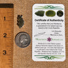 Raw Moldavite Pendant Sterling Silver #7491-Moldavite Life