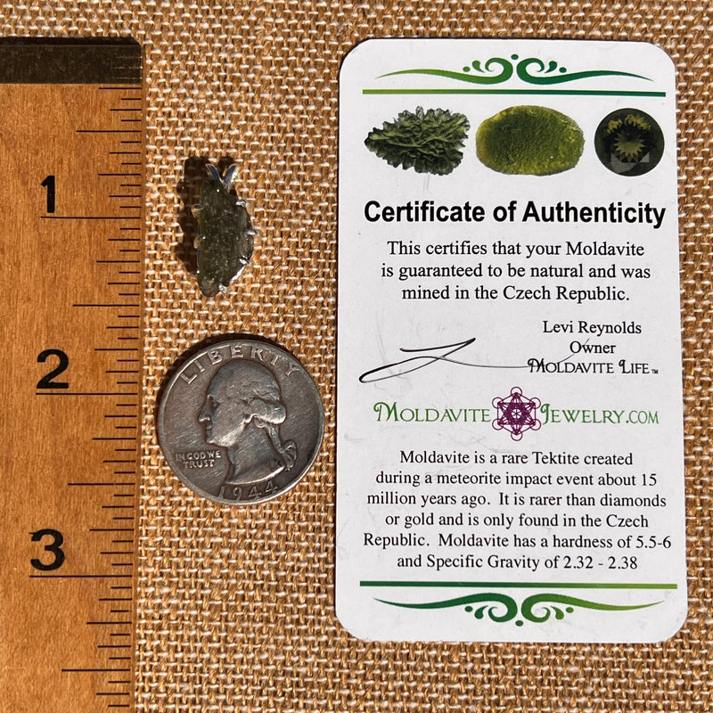 Raw Moldavite Pendant Sterling Silver #7491-Moldavite Life