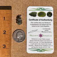 Raw Moldavite Pendant Sterling Silver #7492-Moldavite Life