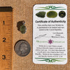 Raw Moldavite Pendant Sterling Silver #7503-Moldavite Life