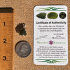 Raw Moldavite Pendant Sterling Silver #7505-Moldavite Life