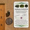 Raw Moldavite Pendant Sterling Silver #7552-Moldavite Life