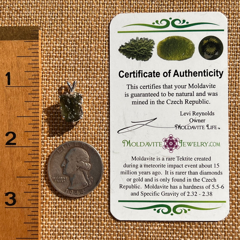 Raw Moldavite Pendant Sterling Silver #7552-Moldavite Life