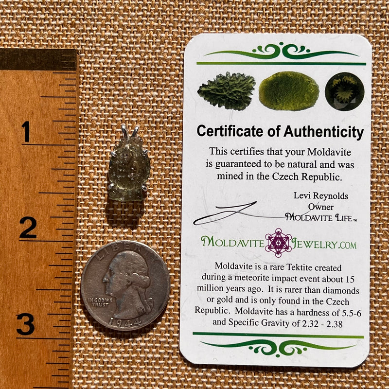 Raw Moldavite Pendant Sterling Silver #7589-Moldavite Life