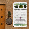 Raw Moldavite Pendant Sterling Silver #7593-Moldavite Life
