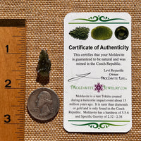 Raw Moldavite Pendant Sterling Silver #7594-Moldavite Life