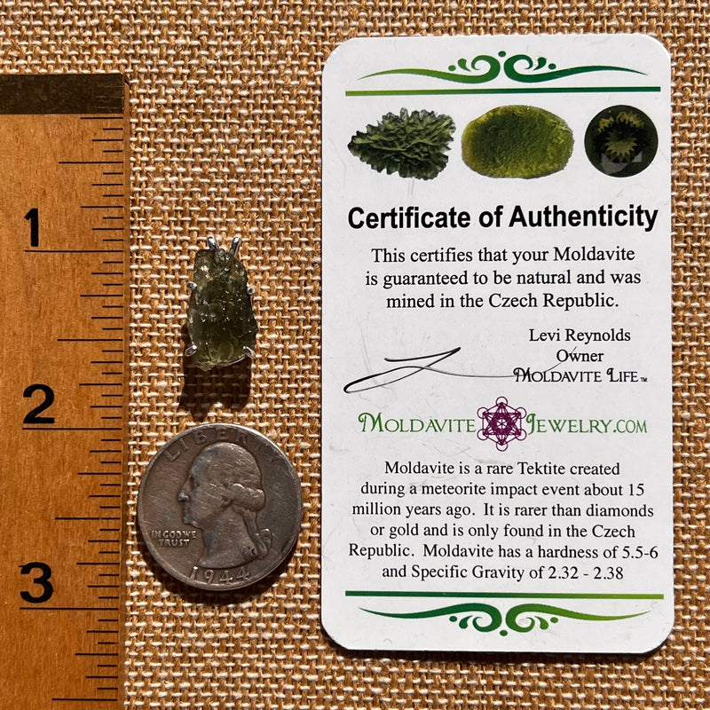 Raw Moldavite Pendant Sterling Silver #7596-Moldavite Life