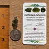 Raw Moldavite Pendant Sterling Silver #7597-Moldavite Life