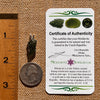 Raw Moldavite Pendant Sterling Silver #7600-Moldavite Life