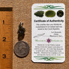 Raw Moldavite Pendant Sterling Silver #7601-Moldavite Life