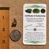 Raw Moldavite Pendant Sterling Silver #7683-Moldavite Life