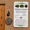 Raw Moldavite Pendant Sterling Silver #7684-Moldavite Life