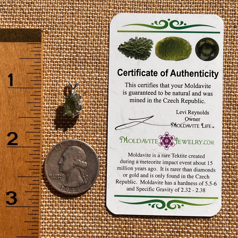 Raw Moldavite Pendant Sterling Silver #7684-Moldavite Life