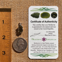 Raw Moldavite Pendant Sterling Silver #7690-Moldavite Life