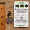 Raw Moldavite Pendant Sterling Silver #7694-Moldavite Life