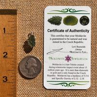 Raw Moldavite Pendant Sterling Silver #7696-Moldavite Life