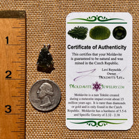 Raw Moldavite Pendant Sterling Silver #8088-Moldavite Life