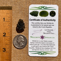 Raw Moldavite Pendant Sterling Silver #8117-Moldavite Life