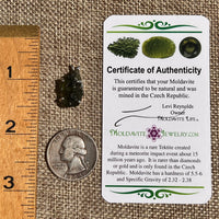 Raw Moldavite Pendant Sterling Silver #8431-Moldavite Life
