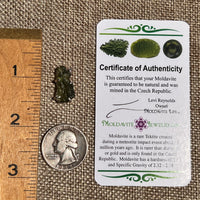 Raw Moldavite Pendant Sterling Silver #8446-Moldavite Life